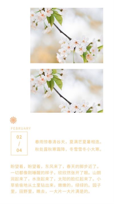 文艺清新春天立春花朵竖版配图 模板ID:5726