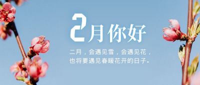 2月你好春天祝福实景鲜花清新公众号首图 模板ID：5506