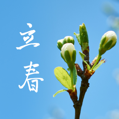 立春清新嫩芽实景简约节气公众号次图 模板ID:5492