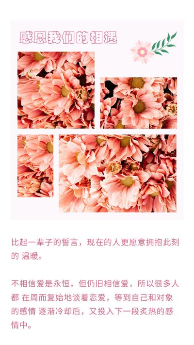 粉色花朵婚礼现场竖版配图 模板ID:5008