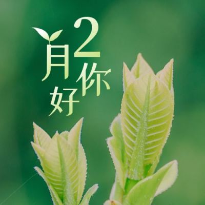 2月你好春天祝福实景植物简约公众号次图 模板ID：5519