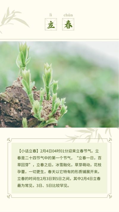 立春习俗介绍淡雅中国风绿色通用竖版配图 模板ID：5297
