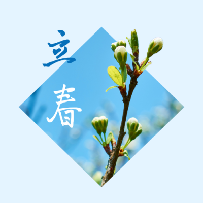 立春文艺清新树枝嫩芽实景节气公众号次图 模板ID:5490
