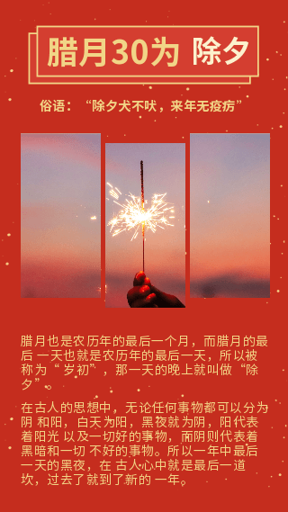 红色喜庆烟花绽放动态竖版配图 模板ID:5712
