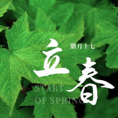 立春绿色实景叶子二十四节气公众号次图 模板ID:5702