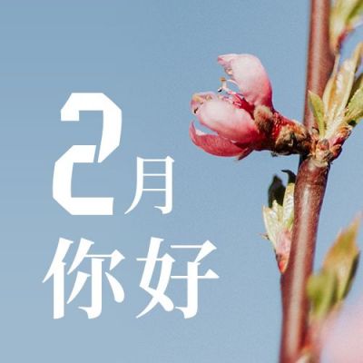 2月你好春天祝福实景鲜花清新公众号次图 模板ID：5507
