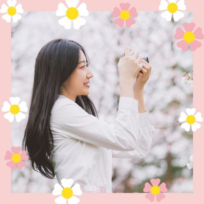 粉色花朵头像 模板ID：5313