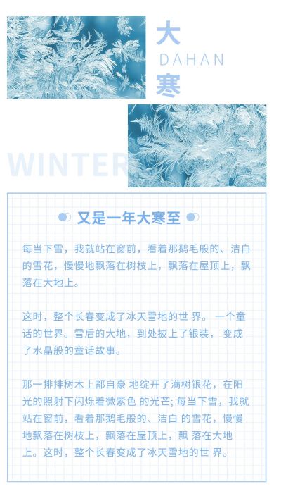 蓝色格子二十四节气大寒小寒竖版配图 模板ID：5017