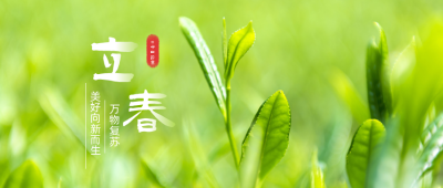 清新文艺花卉实景二十四节气立春公众号首图 模板ID：5330
