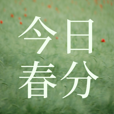 简约清新文艺春季节气春分手机海报 模板ID：30410