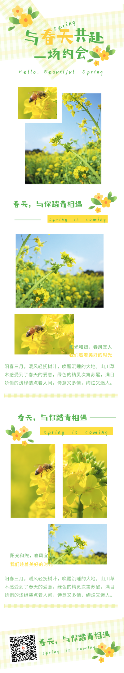 春季出游赏花踏青旅游长图海报 模板ID：30434