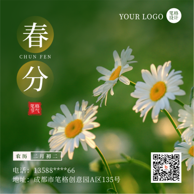二十四节气春分简约实景绿色雏菊方形海报 模板ID：30601