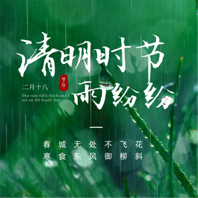 简约实景清明时节雨纷纷方形海报 模板ID:31087