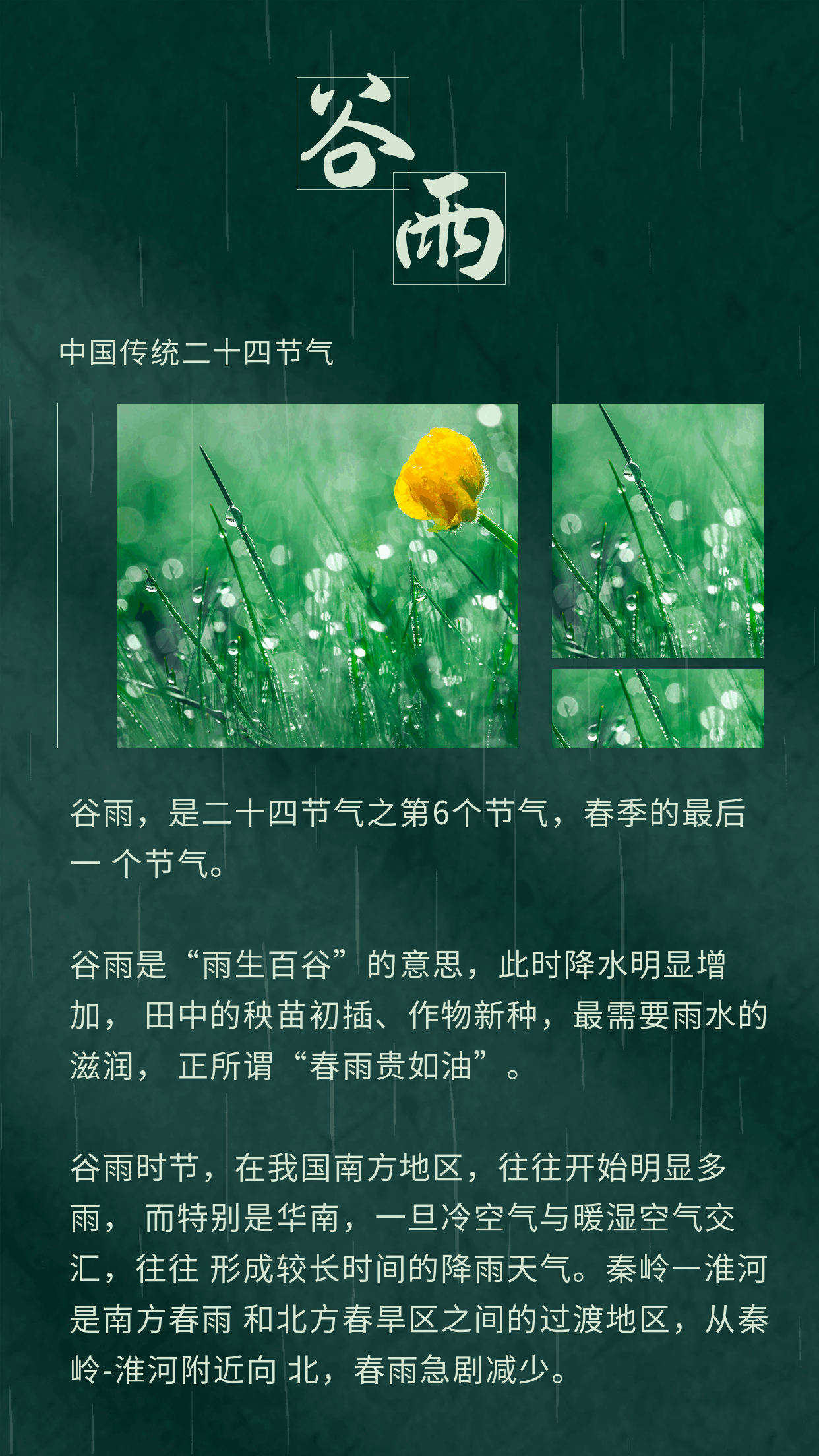中国传统二十四节气谷雨下雨动态竖版配图 模板ID：31679
