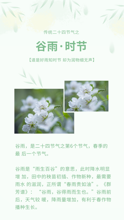 清新渐变二十四谷雨节气竖版配图 模板ID:31680