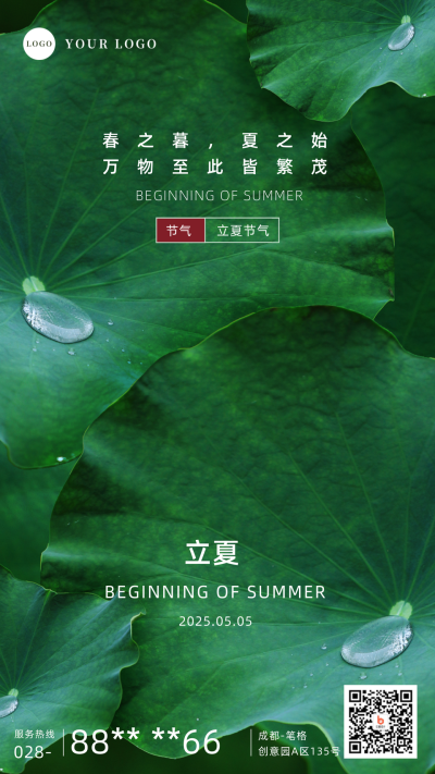 立夏节气简约绿色实景荷叶手机海报 模板ID:33399