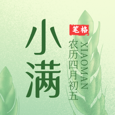 小满节气植物宣传封面次图 模板ID:33804