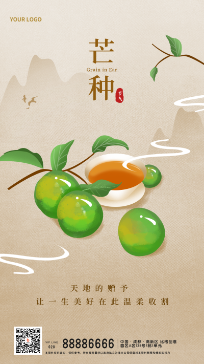 芒种传统节气水果宣传手机海报 模板ID：33948