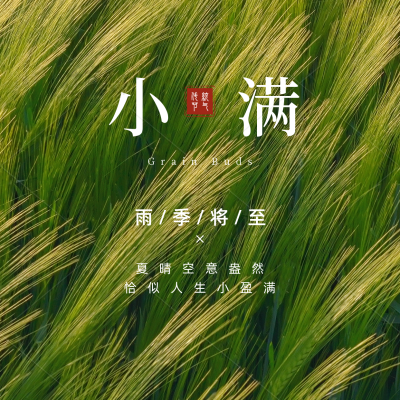 小满节气实景方形海报 模板ID：34145
