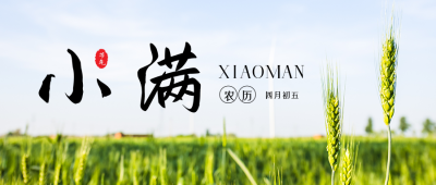 中国二十四节气小满夏季水稻实景公众号封面首图 模板ID：34192