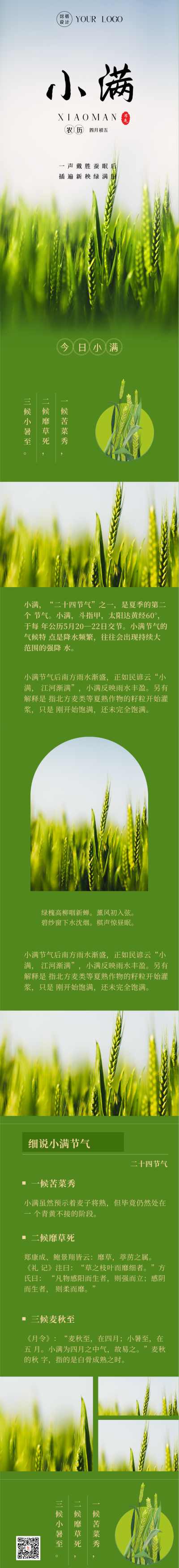 中国传统二十四小满节气水稻小麦丰收长图海报 模板ID:34196