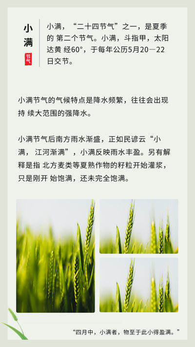 文艺清新中国风二十四节气小满竖版配图 模板ID:34197