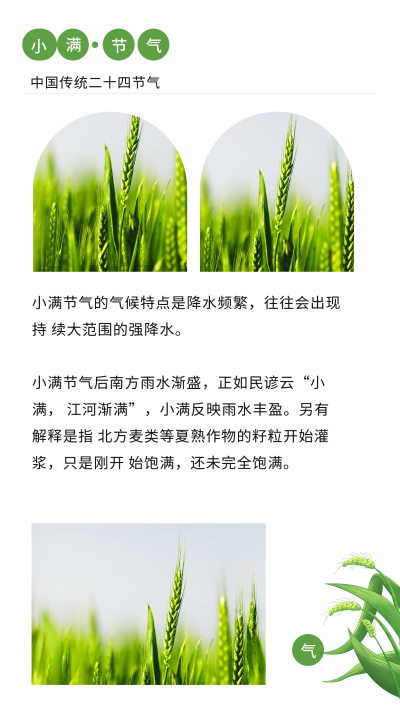 简约清新中国风二十四节气小满竖版配图 模板ID：34199