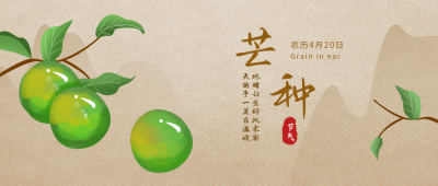芒种传统节气宣传封面首图 模板ID：34433
