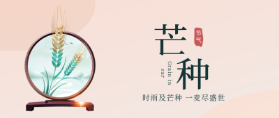 芒种传统节气文案宣传封面首图 模板ID:34447