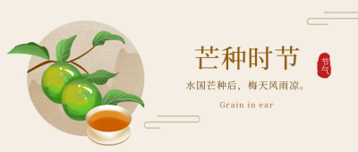 芒种传统节气文案宣传封面首图 模板ID：34448