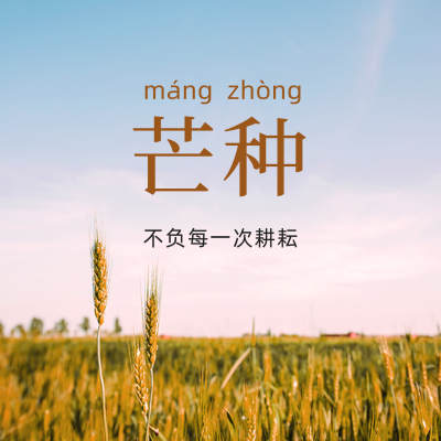 芒种节气简约实景方形海报 模板ID:34921