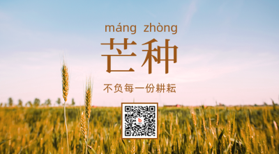 芒种节气简约实景二维码 模板ID：34922