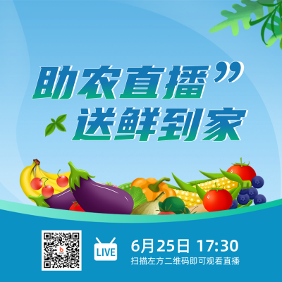 助农直播公益宣传方形海报 模板ID：35695