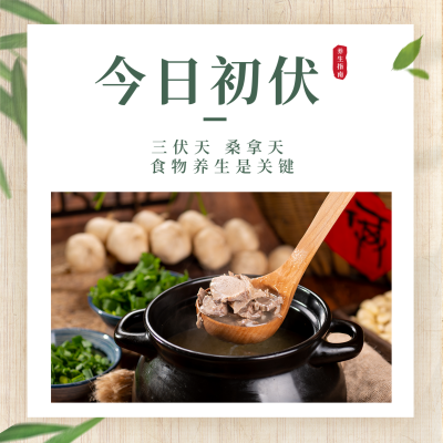 三伏天美食养生知识科普指南方形海报 模板ID：36258