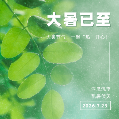 大暑节气实景方形海报 模板ID：36936