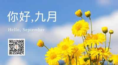 你好九月实景菊花日签二维码海报 模板ID：38050