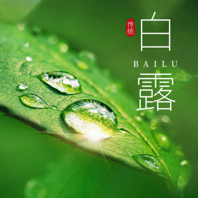 白露二十四节气实景公众号次图 模板ID：38553