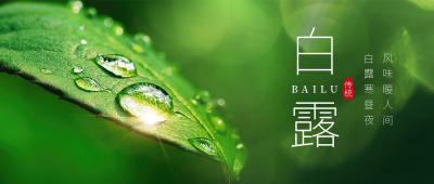 白露二十四节气实景公众号首图 模板ID：38556