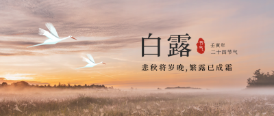 白露节气实景封面首图 模板ID:38565