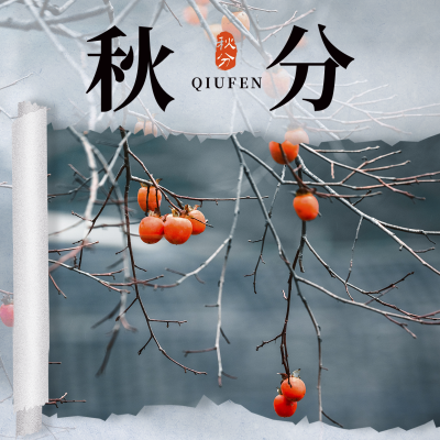 秋分二十四节气简约实景方形海报 模板ID：39304