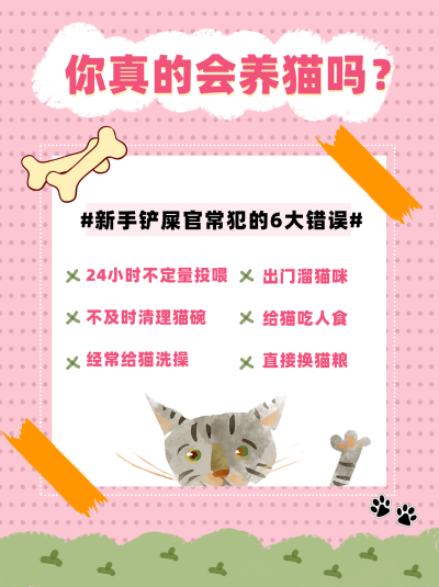 粉色养猫新手常犯的错误小红书封面 模板ID:40936