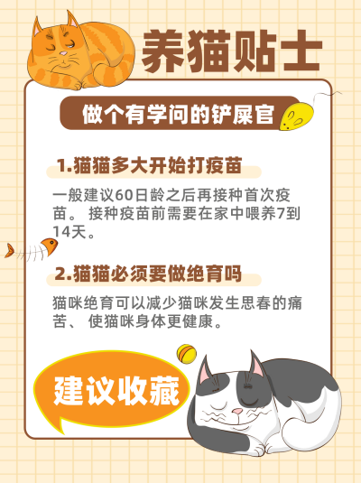 黄色手绘可爱养猫贴士小红书封面 模板ID：40966