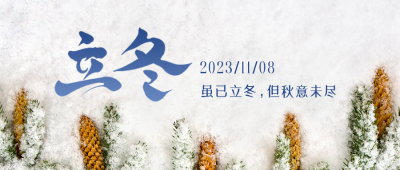 立冬节气实景松树雪景公众号封面首图 模板ID：41197