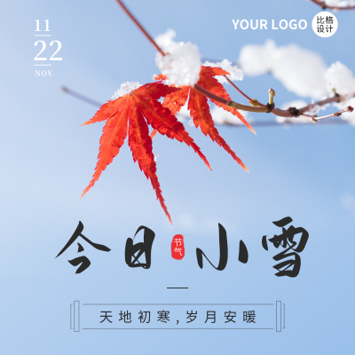 小雪节气枫叶实景方形海报 模板ID：41934