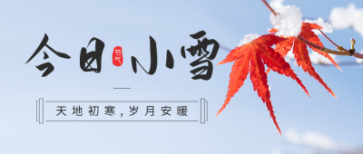 小雪节气枫叶实景公众号首图 模板ID：41935