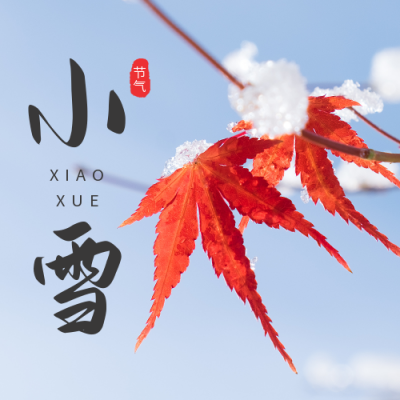 小雪节气枫叶实景公众号次图 模板ID：41936