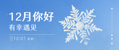 12月你好冬季日签雪花公众号封面首图 模板ID：42340