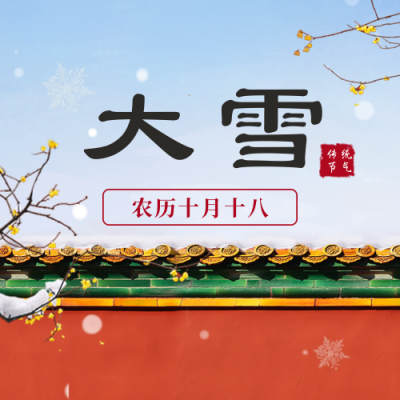 大雪实景节气宣传封面次图 模板ID：42713