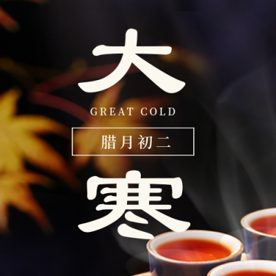 大寒节气实景宣传封面次图 模板ID：44762