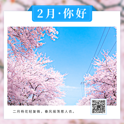 二月你好正能量日签问候方形海报 模板ID：44923
